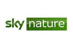 Sky Nature