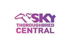 Sky Thoroughbred Central