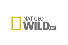 国家地理野生HD