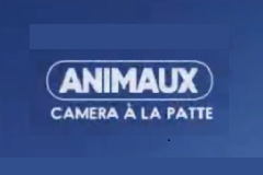 Animaux