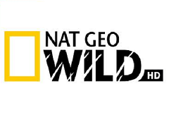 NAT GEO WILD