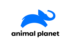 Animal Planet