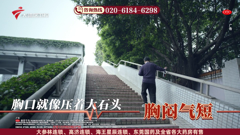 大湾区卫视高清