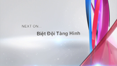 tvb việt nam