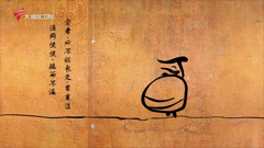 大湾区卫视高清