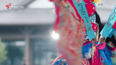 大湾区卫视高清