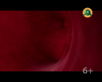 мультимания