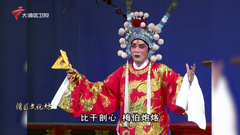 大湾区卫视高清