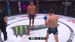 bellator mma