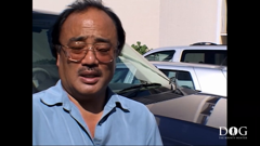 dog the bounty hunter