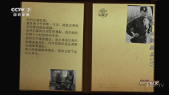 cctv7