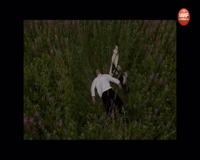 мир сериала