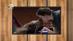 gln24-геленджик