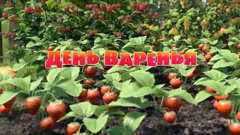 маша и медведь