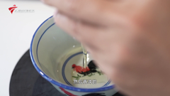 大湾区卫视高清