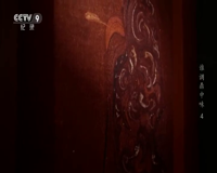 cctv-9 纪录