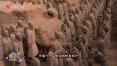 大湾区卫视高清