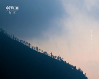 cctv-9 纪录