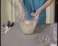 домашние животные