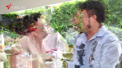 大湾区卫视高清