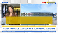 tv senado