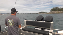 world fishing network