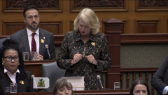 legislative assembly of ontario