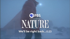 pbs nature