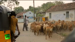 rt documentary english