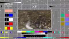 cctv-12 社会与法