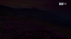 amazing discoveries tv (720p)