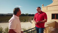 wine watches whiskey