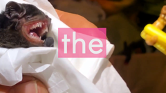 failarmy international