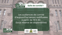 legislative assembly of ontario committees