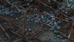 загородный international