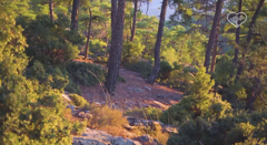 живая природа