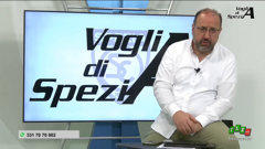 tele liguria sud