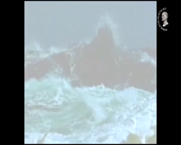 кто есть кто