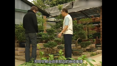 流金岁月-经典港剧