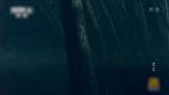 少年包青天美黑之旅