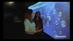 long beach television