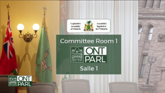 legislative assembly of ontario committees