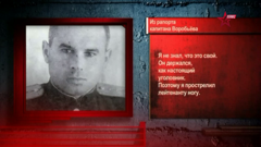 звезда плюс