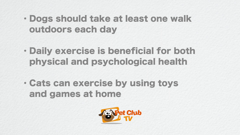 ช่อง pet club