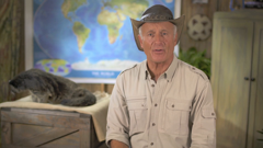 the jack hanna channel