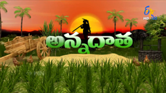 etv telugu