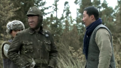 大家都在看的电视剧