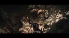 巾帼枭雄之义海豪情