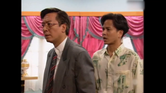 陪你一起看好剧