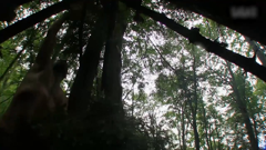 单挑荒野第一季